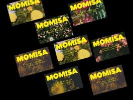 Ferme florale identite visuelle 1