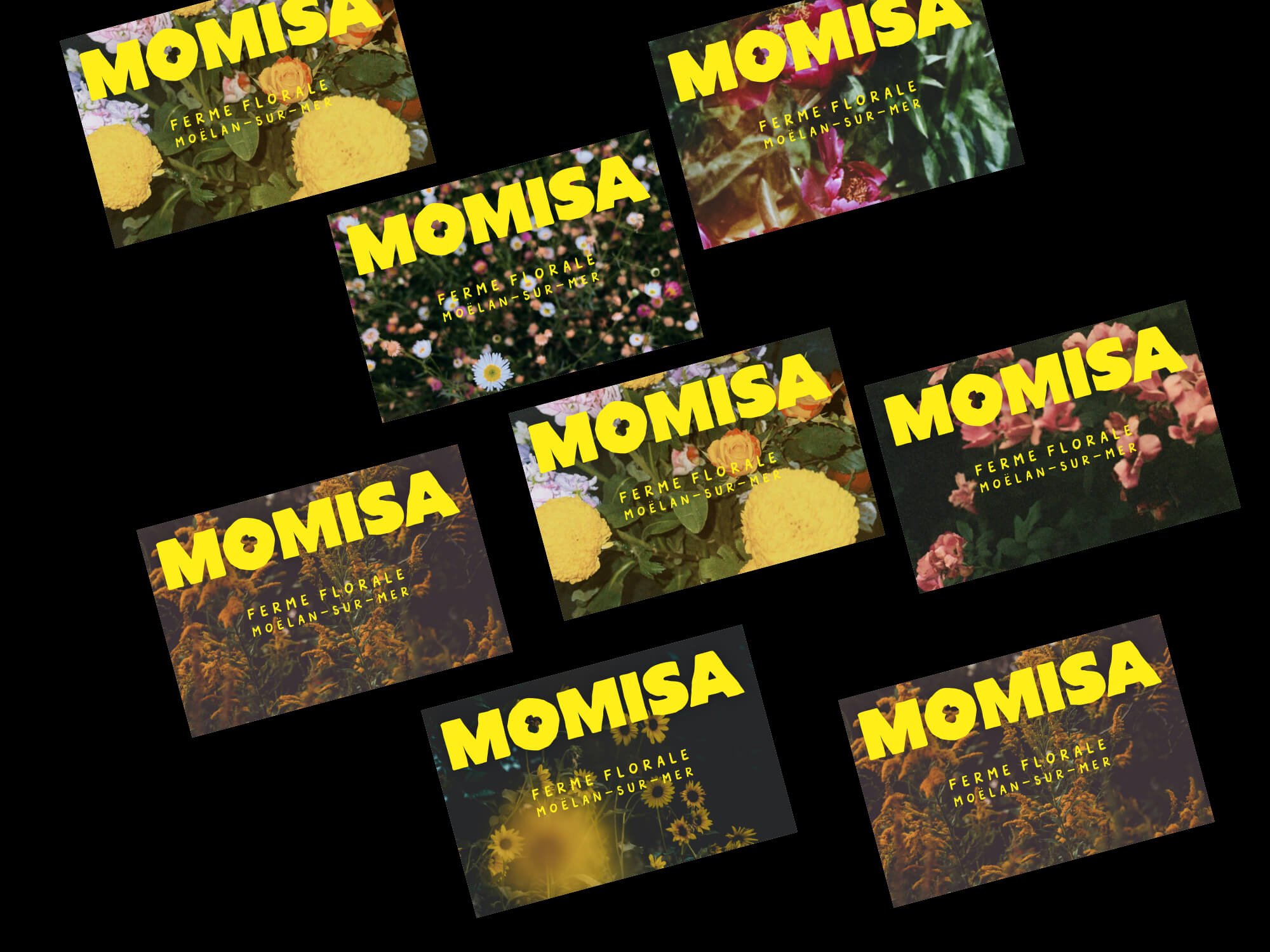 Ferme florale identite visuelle 1