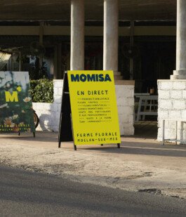 Ferme florale identite visuelle 14