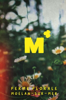 Ferme florale identite visuelle 3