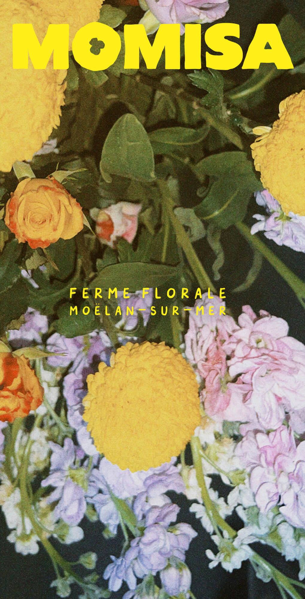Ferme florale identite visuelle 38