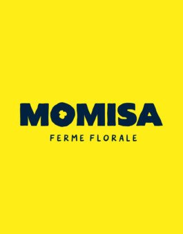 Ferme florale identite visuelle 39