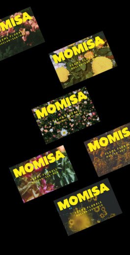 Ferme florale identite visuelle 40