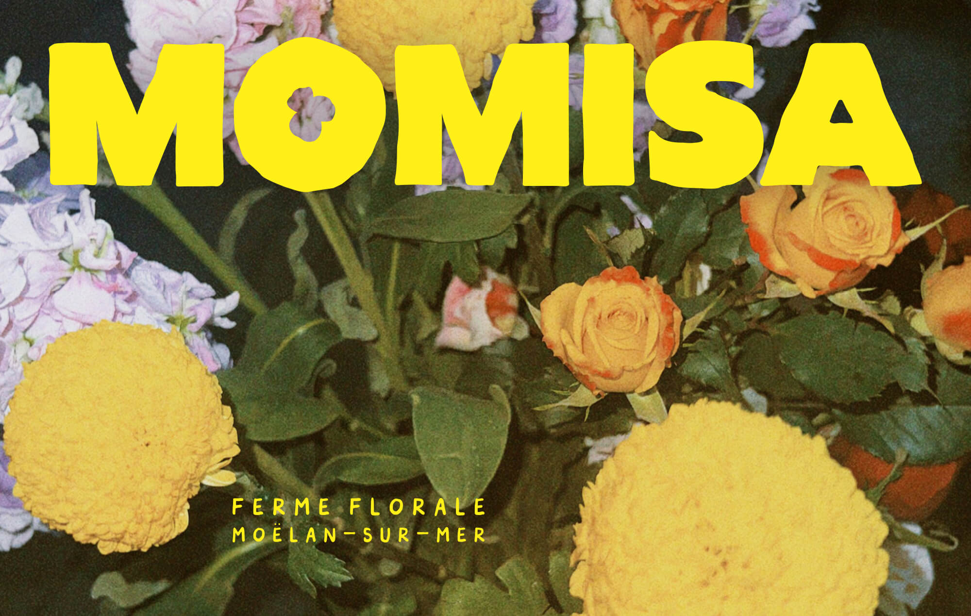 Ferme florale identite visuelle 7