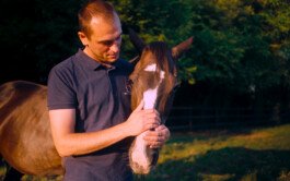 Mavericks identite visuelle 16