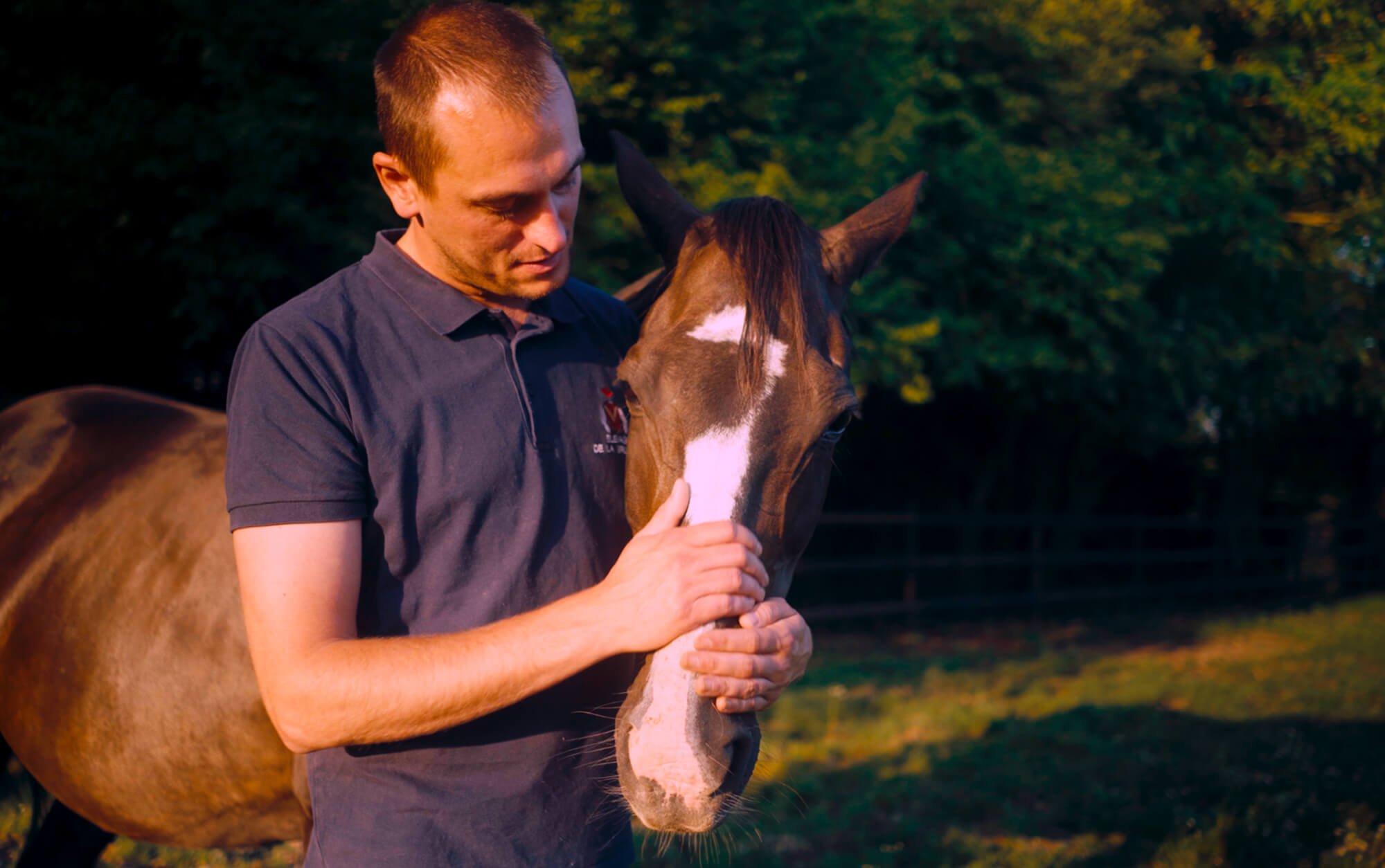 Mavericks identite visuelle 16