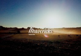 Mavericks identite visuelle 2