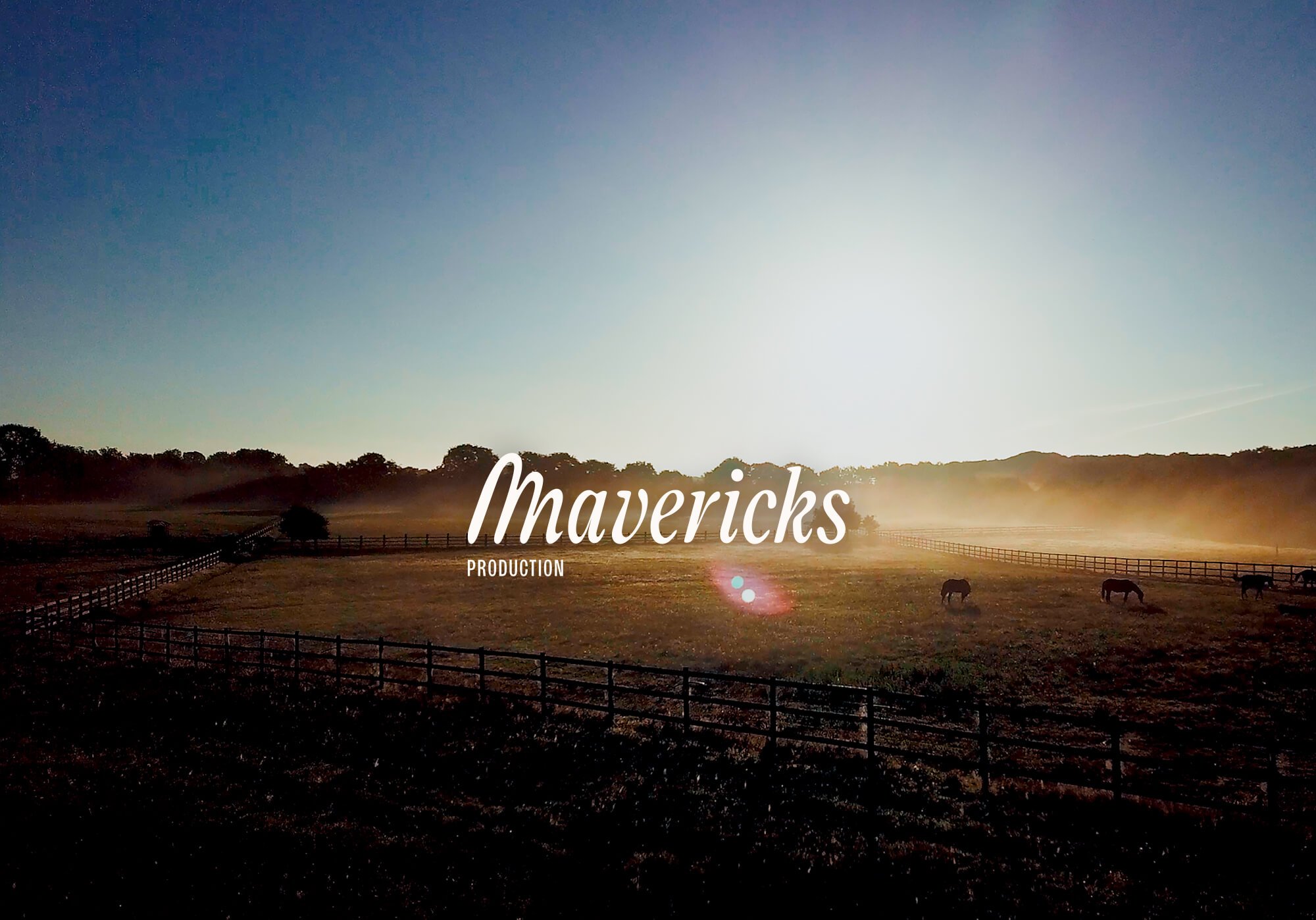 Mavericks identite visuelle 2