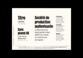 Mavericks identite visuelle 33 1