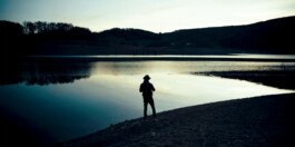 Mavericks identite visuelle 46