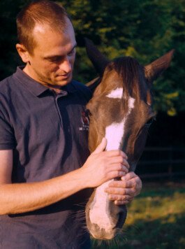 Mavericks identite visuelle 57