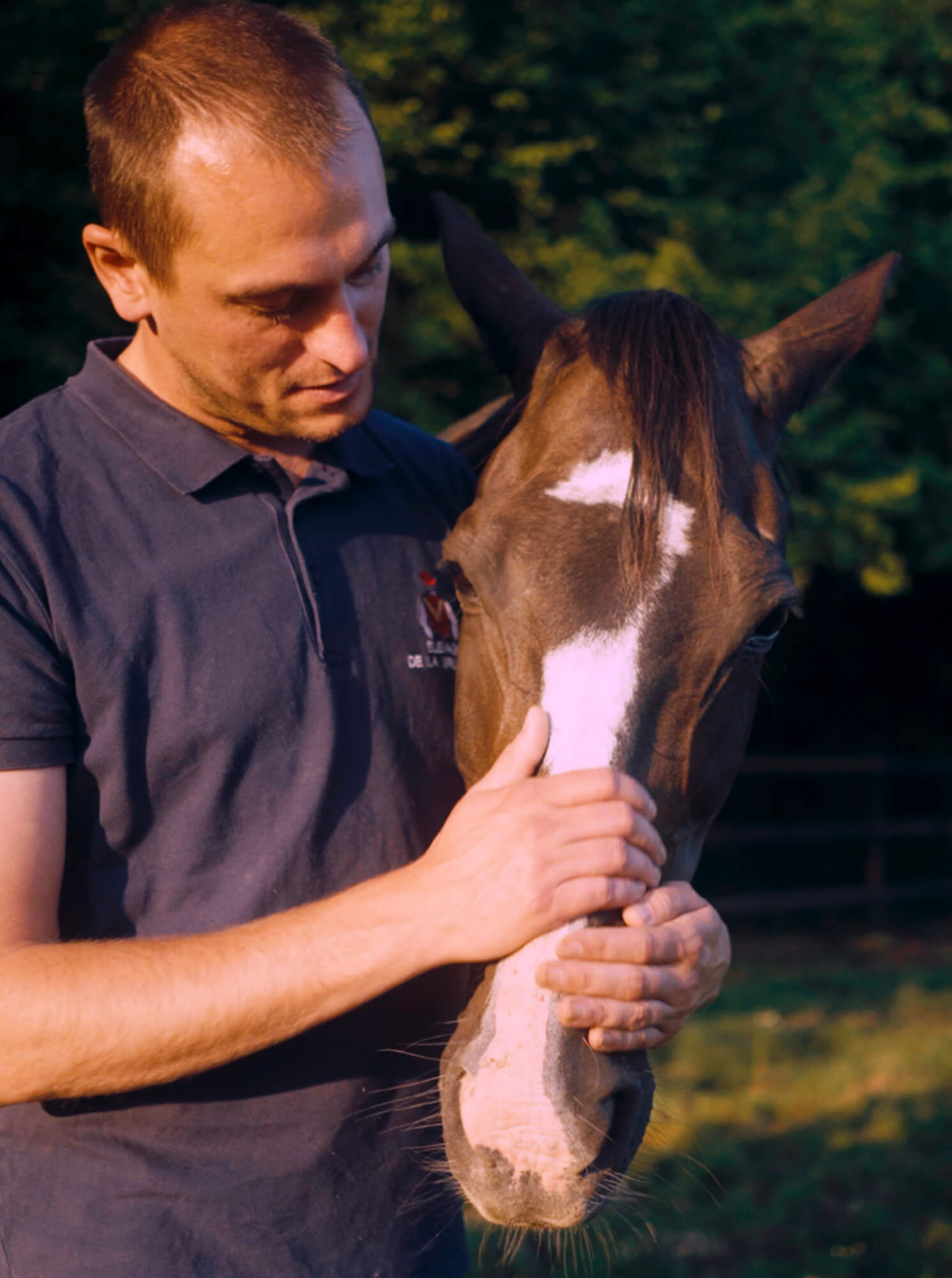 Mavericks identite visuelle 57