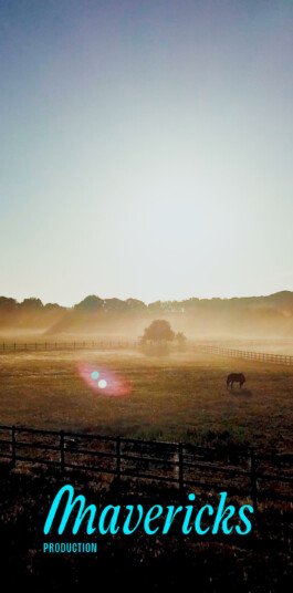 Mavericks identite visuelle 61