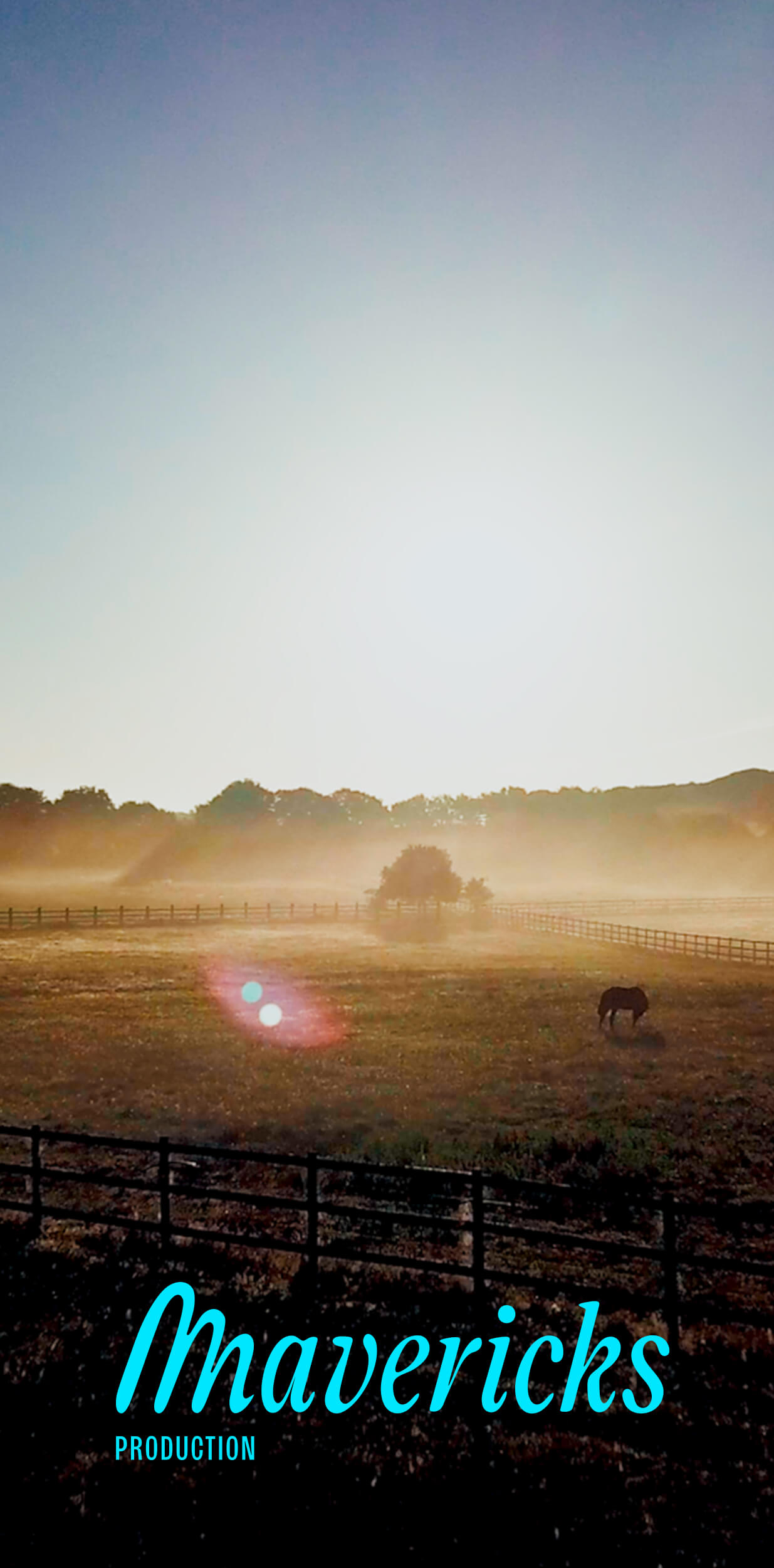 Mavericks identite visuelle 61