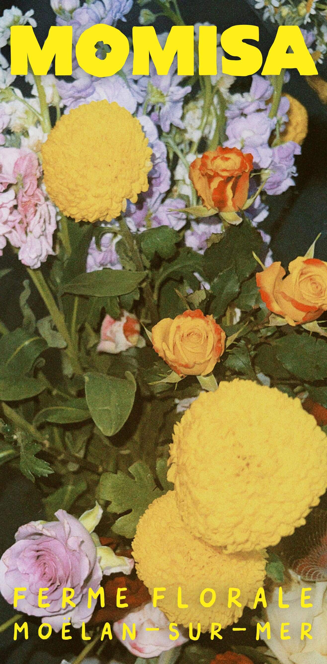 Ferme florale identite visuelle 41