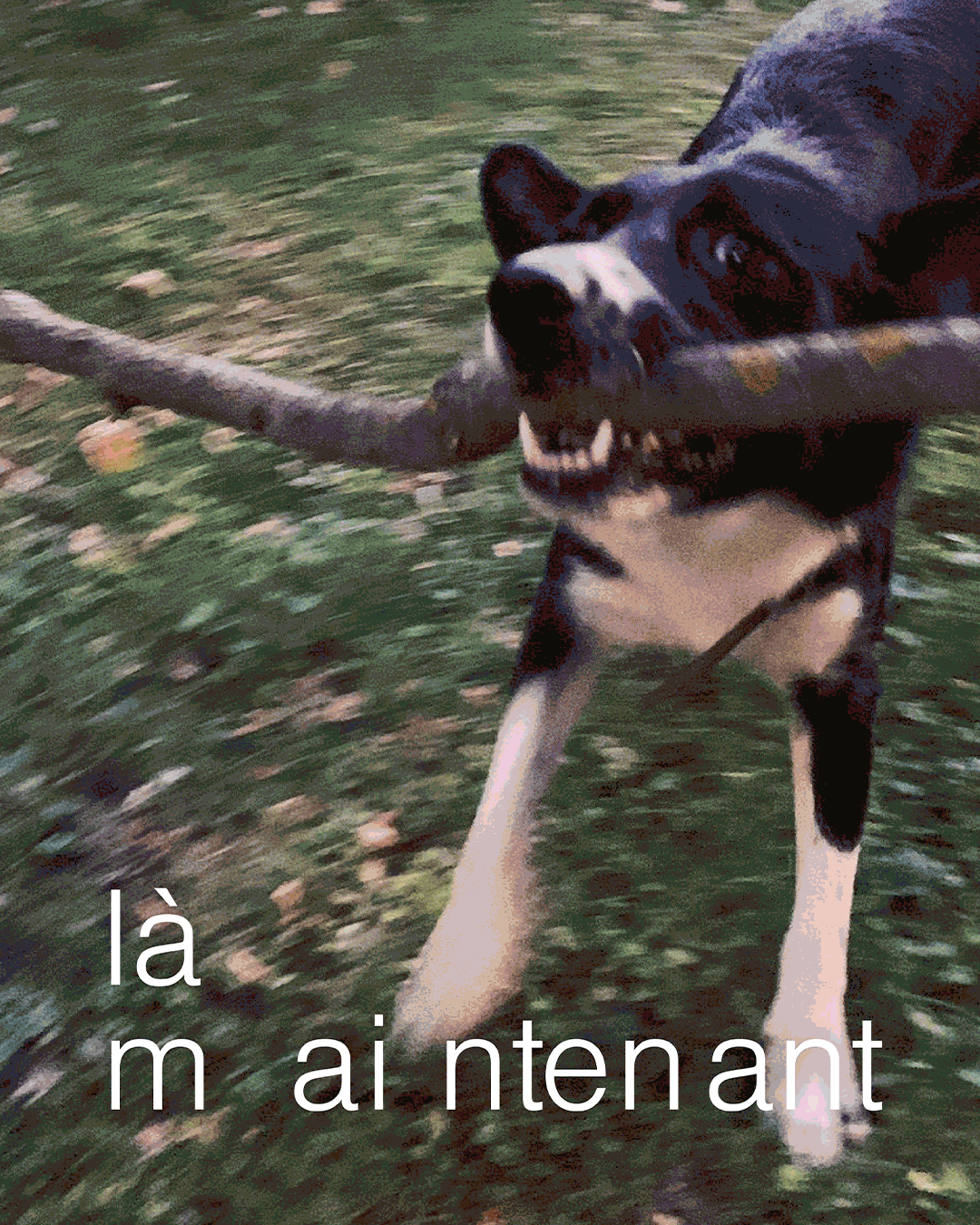 Groupe fluo identite visuelle 25