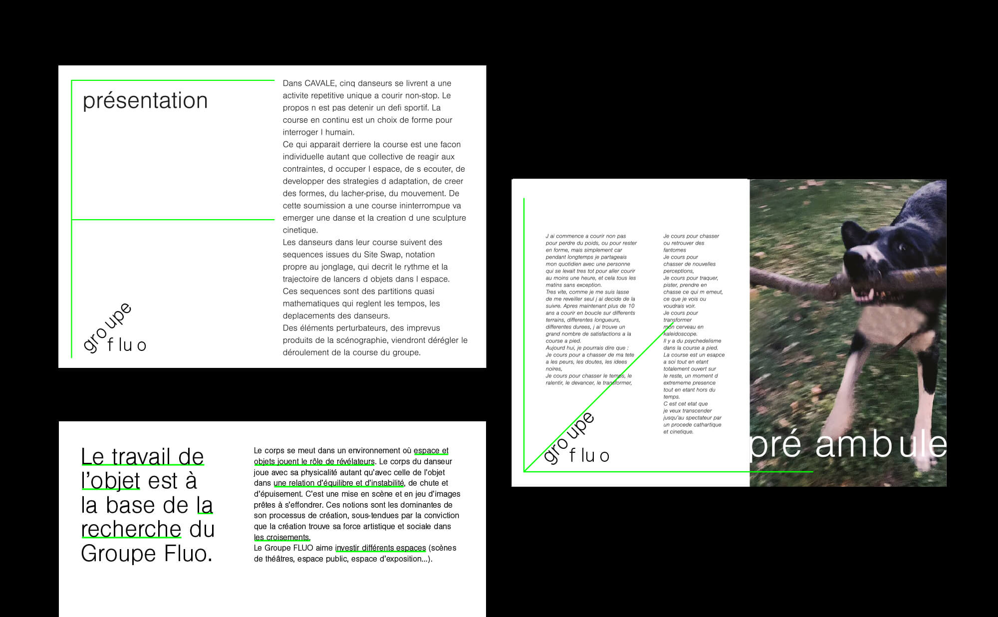 Groupe fluo identite visuelle 48