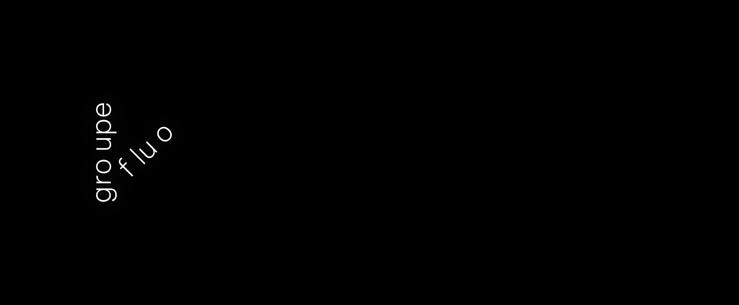 Groupe fluo identite visuelle 55