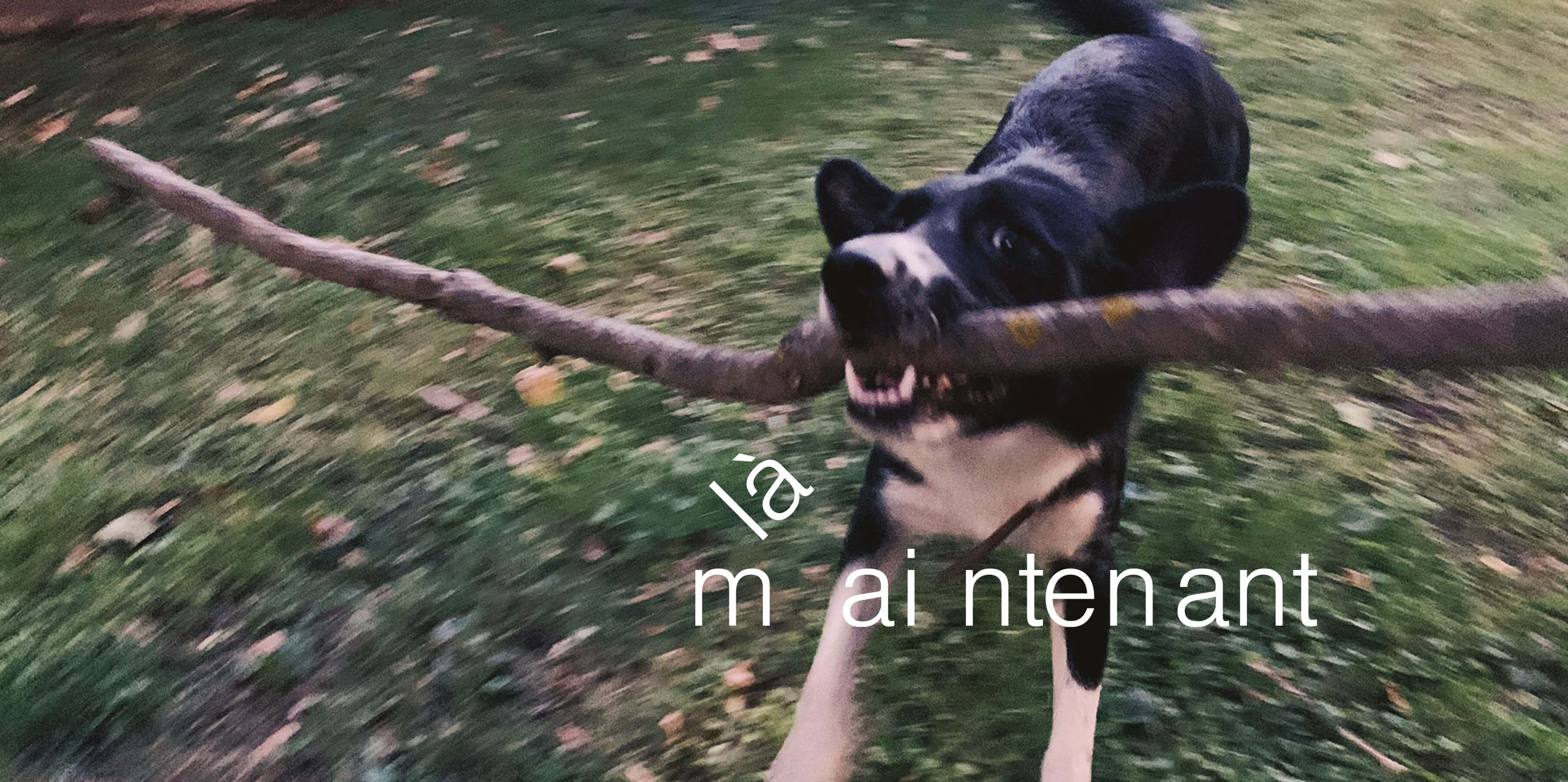 Groupe fluo identite visuelle 65