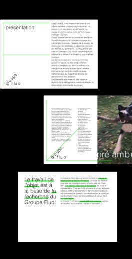 Groupe fluo identite visuelle 81 atelier shiroi graphisme identité visuelle communication illustration Nantes